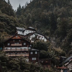 Preview wallpaper house, trees, mountain, slope, forest, building
