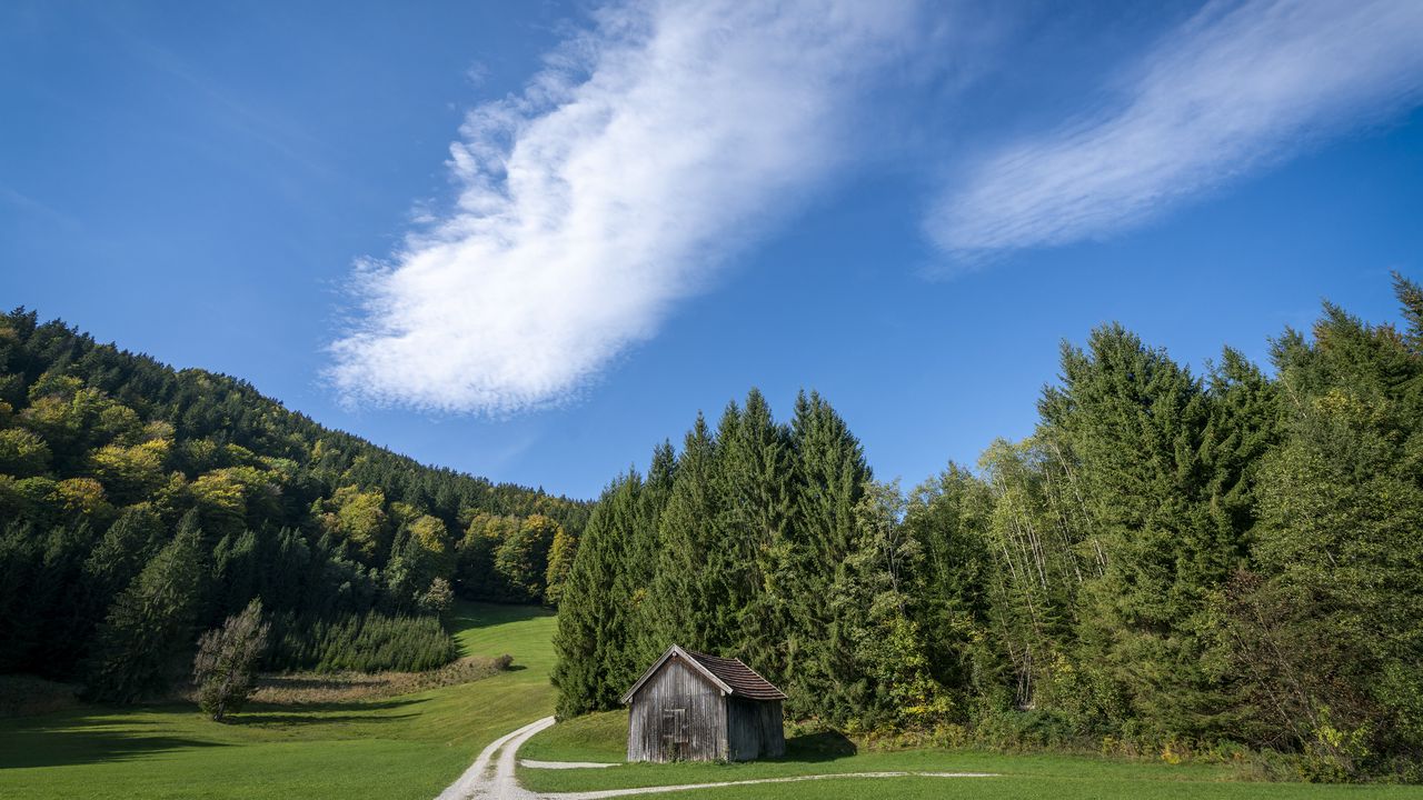 Wallpaper house, trees, path, forest, landscape