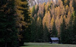 Preview wallpaper house, trees, rock, relief