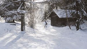 Preview wallpaper house, trees, snow, winter, silhouette