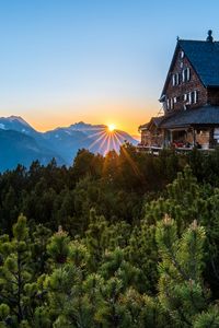 Preview wallpaper house, trees, spruce, sun, landscape