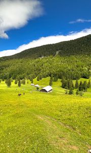 Preview wallpaper house, valley, trees, mountains, nature