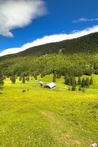 Preview wallpaper house, valley, trees, mountains, nature