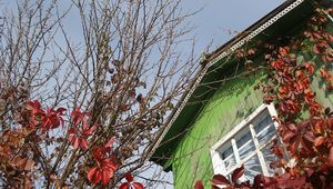 Preview wallpaper house, window, tree, autumn, chestnut, branches