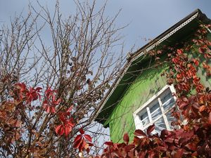 Preview wallpaper house, window, tree, autumn, chestnut, branches