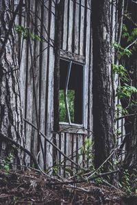 Preview wallpaper house, window, trees