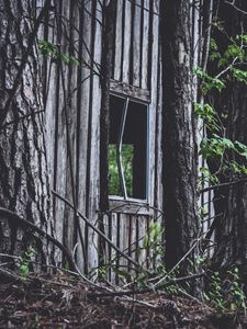 Preview wallpaper house, window, trees