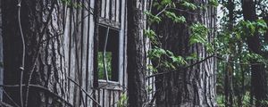 Preview wallpaper house, window, trees
