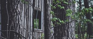 Preview wallpaper house, window, trees