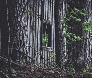 Preview wallpaper house, window, trees