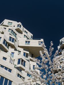 Preview wallpaper house, windows, facade, architecture, flowers, branches