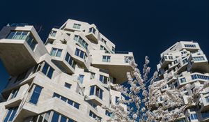 Preview wallpaper house, windows, facade, architecture, flowers, branches