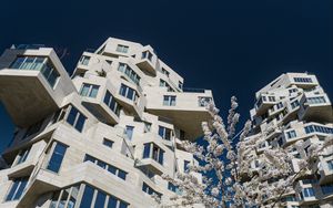 Preview wallpaper house, windows, facade, architecture, flowers, branches