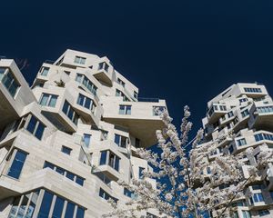 Preview wallpaper house, windows, facade, architecture, flowers, branches