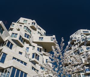 Preview wallpaper house, windows, facade, architecture, flowers, branches