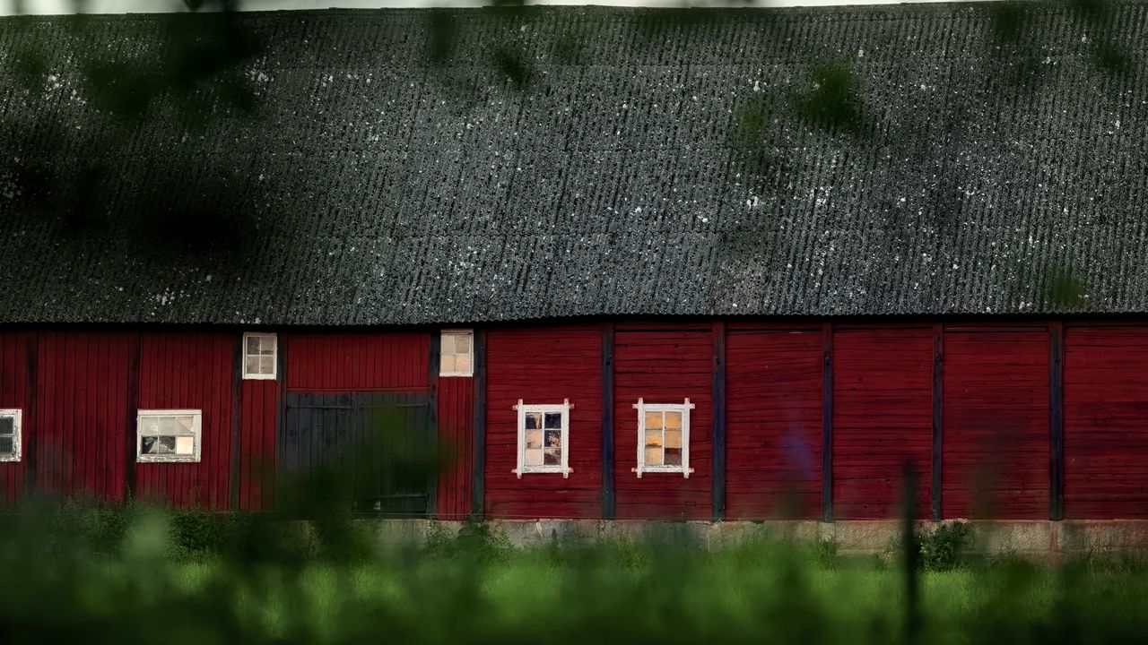 Wallpaper house, windows, trees, blur