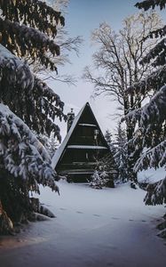 Preview wallpaper house, winter, snow, forest, comfort