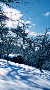 Preview wallpaper house, winter, snow, shine, garden, white, snowdrifts, covers