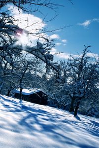 Preview wallpaper house, winter, snow, shine, garden, white, snowdrifts, covers