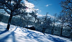 Preview wallpaper house, winter, snow, shine, garden, white, snowdrifts, covers