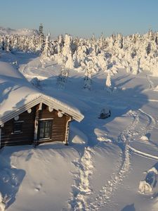 Preview wallpaper house, wood, solitude, snowdrifts, snow, winter, cover