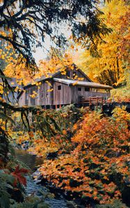 Preview wallpaper house, wooden, nature, autumn