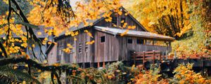 Preview wallpaper house, wooden, nature, autumn