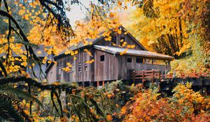 Preview wallpaper house, wooden, nature, autumn