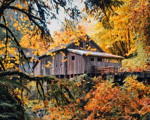 Preview wallpaper house, wooden, nature, autumn