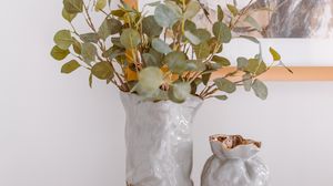 Preview wallpaper houseplant, plant, green, pot, decor