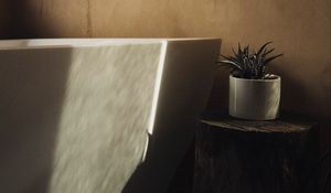 Preview wallpaper houseplant, plant, pot, interior