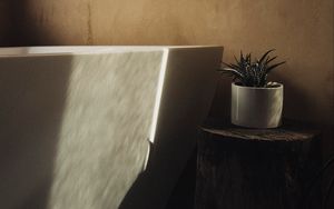 Preview wallpaper houseplant, plant, pot, interior