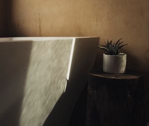 Preview wallpaper houseplant, plant, pot, interior