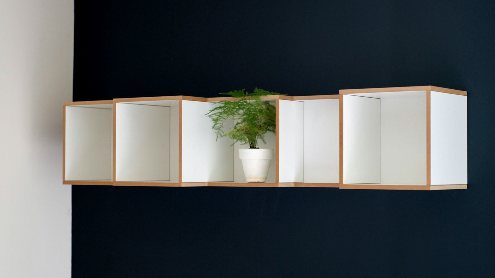1600x900 Wallpaper houseplant, plant, shelf, decor, interior