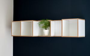 Preview wallpaper houseplant, plant, shelf, decor, interior