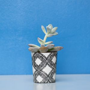 Preview wallpaper houseplant, pot, table