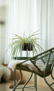 Preview wallpaper houseplant, room, chair, table, interior