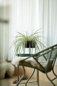 Preview wallpaper houseplant, room, chair, table, interior