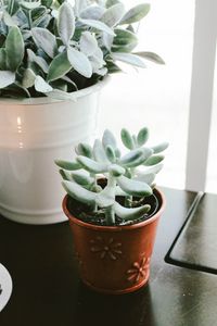 Preview wallpaper houseplant, window sill, candle