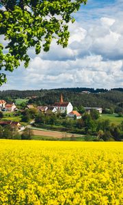 Preview wallpaper houses, field, flowers, forest, landscape