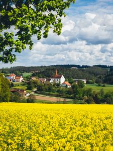 Preview wallpaper houses, field, flowers, forest, landscape