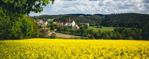 Preview wallpaper houses, field, flowers, forest, landscape