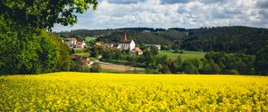 Preview wallpaper houses, field, flowers, forest, landscape