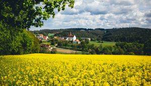 Preview wallpaper houses, field, flowers, forest, landscape