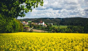 Preview wallpaper houses, field, flowers, forest, landscape