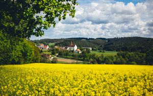 Preview wallpaper houses, field, flowers, forest, landscape