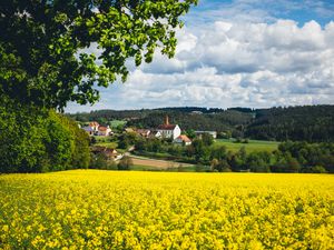 Preview wallpaper houses, field, flowers, forest, landscape