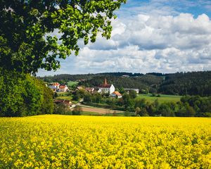 Preview wallpaper houses, field, flowers, forest, landscape