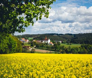 Preview wallpaper houses, field, flowers, forest, landscape