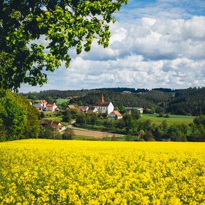 Preview wallpaper houses, field, flowers, forest, landscape